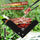 BBQ Grill Folding Stainless Steel Portable Small Barbecue Grill Tool BBQ Outdoor Camping Charcoal Furnace BBQ Grills Accessories